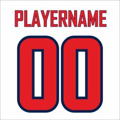 Egyedi hokimez – „Wasington Capitals” design, világos