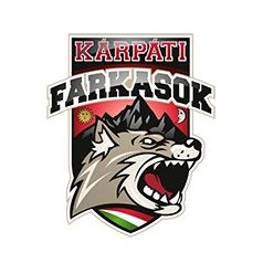 Kárpáti Farkasok