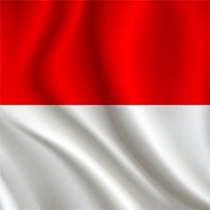 Zászlók, integető kezek